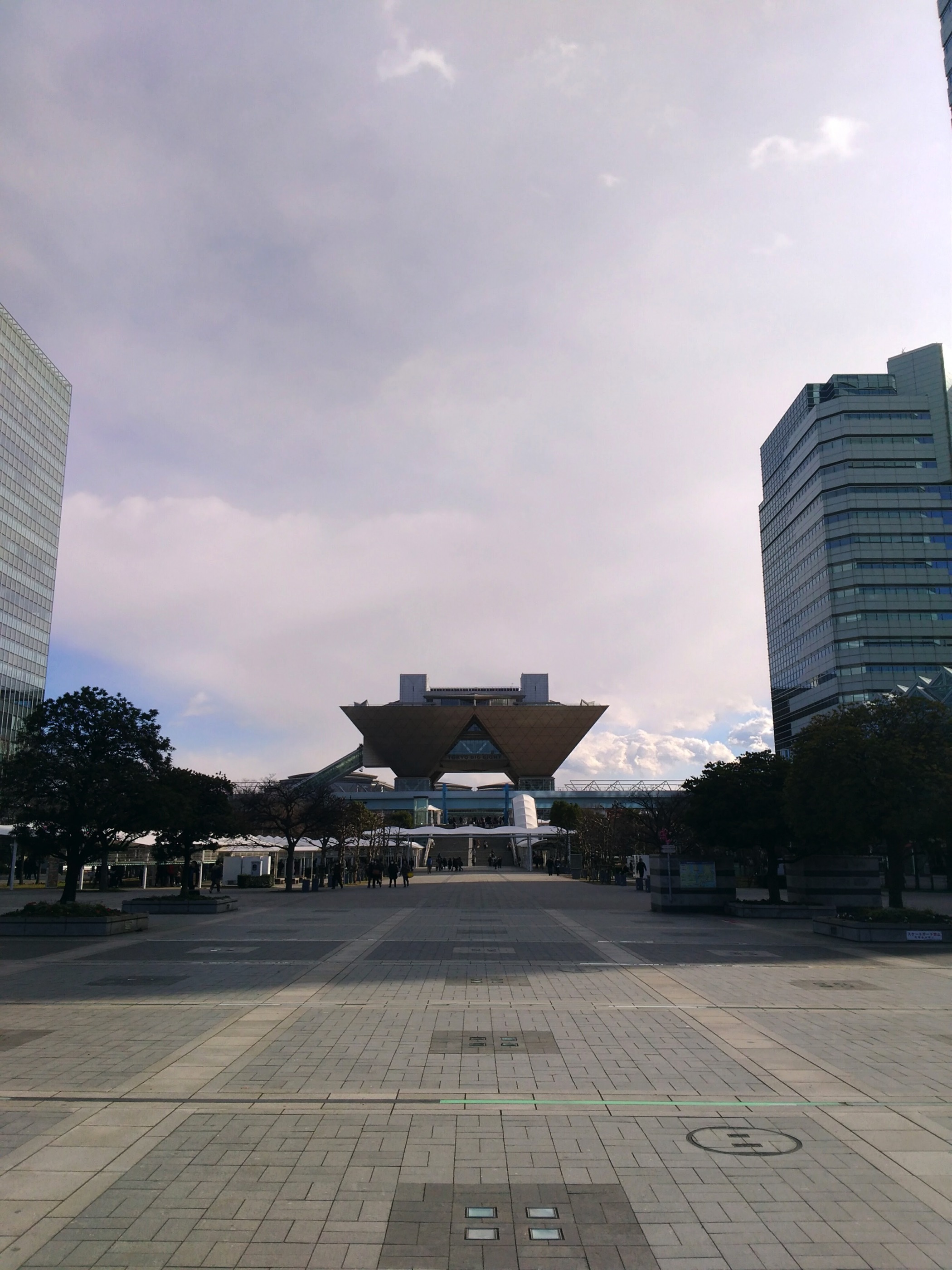 P_20170115_133613_vHDR_Auto.jpg P 20170115 133613 vHDR Auto